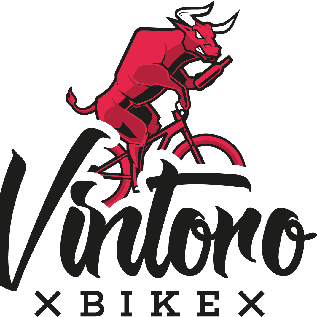 VinToro Bike BTT 2019